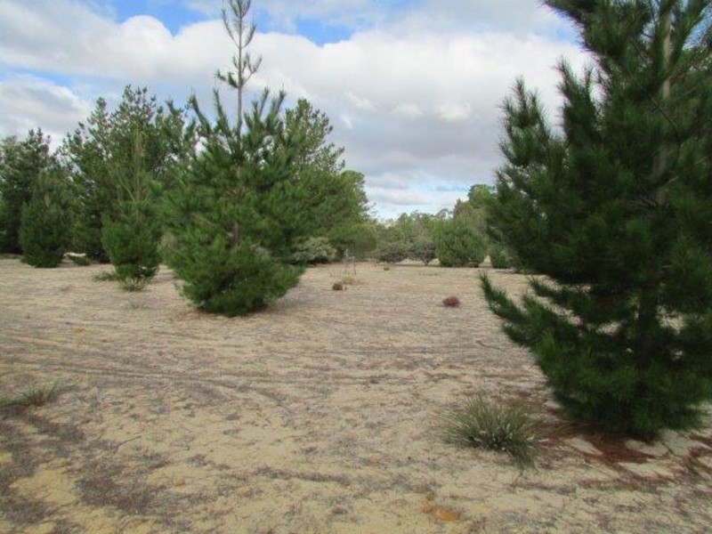 530 Horse Shoe Bend Road, Dimboola VIC 3414