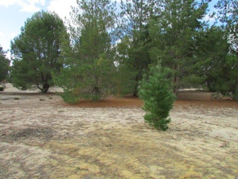 530 Horse Shoe Bend Road, Dimboola VIC 3414