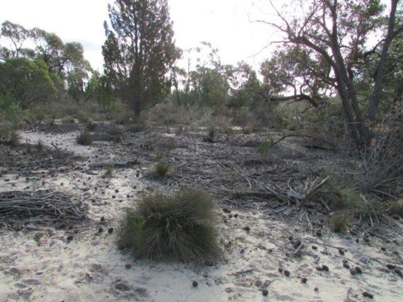 530 Horse Shoe Bend Road, Dimboola VIC 3414