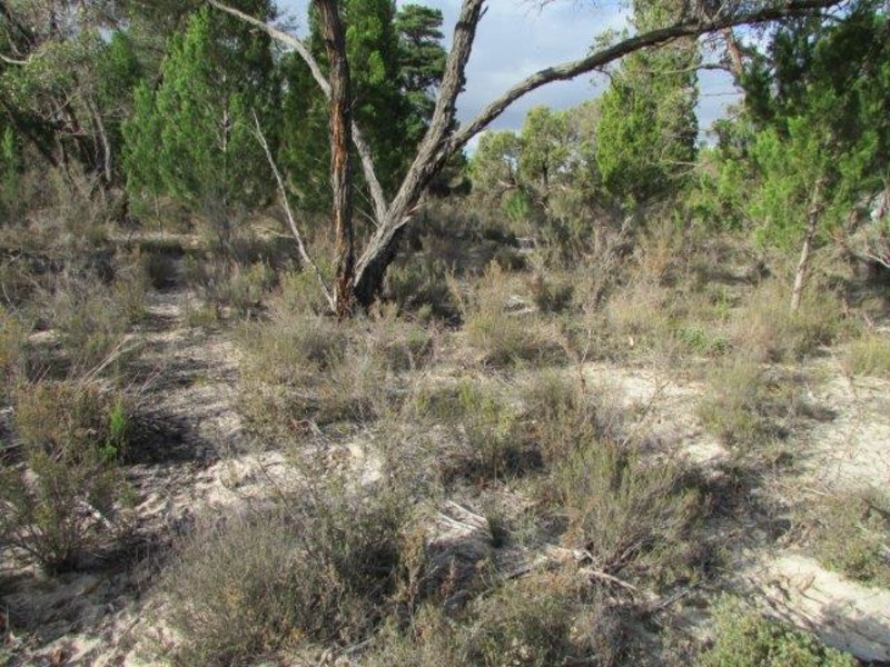 530 Horse Shoe Bend Road, Dimboola VIC 3414