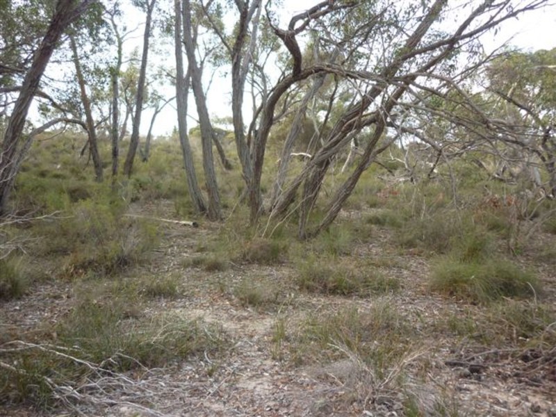 Lot 16,  Pomponderoo Hill Road, Dimboola VIC 3414