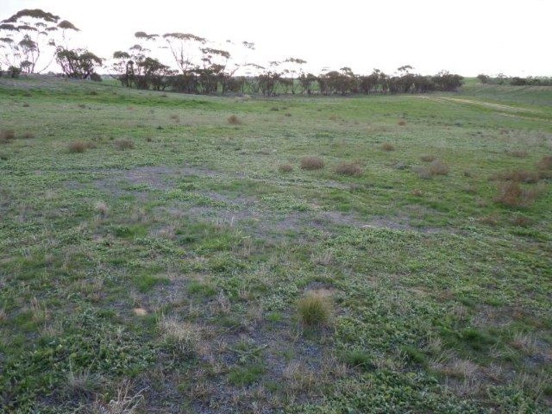 260 Hiltons Road, Hopetoun VIC 3396