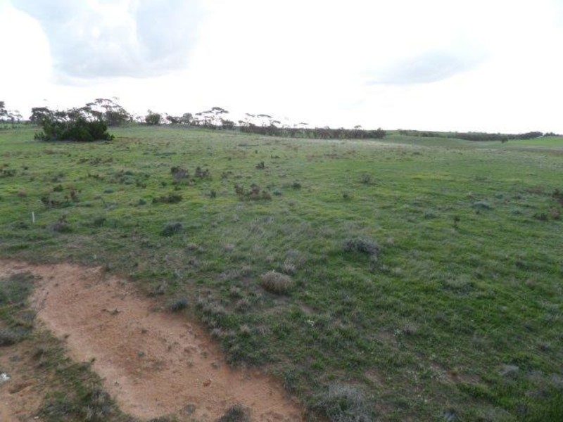 260 Hiltons Road, Hopetoun VIC 3396