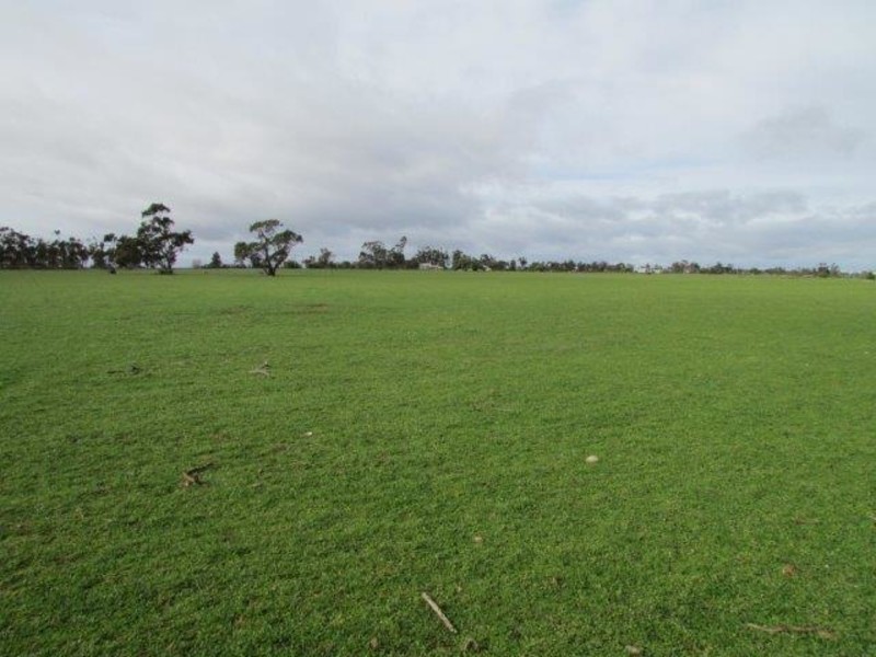 112-128 Camp Street, Watchem VIC 3482