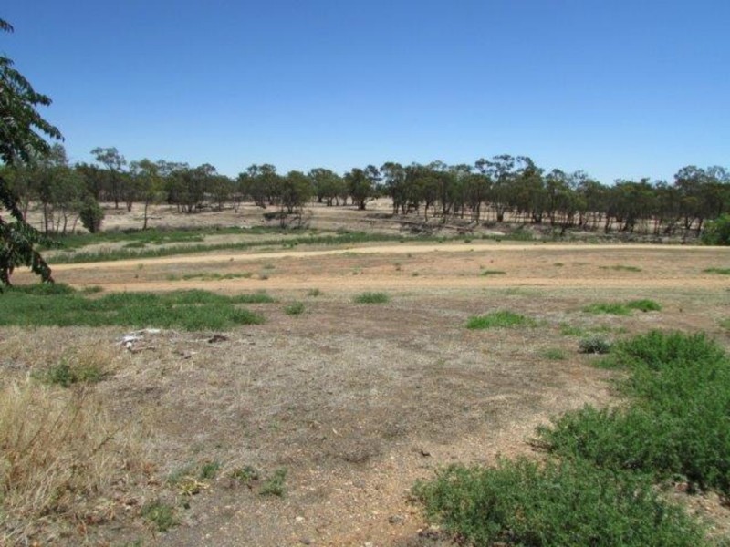 31 Hammill Street, Donald VIC 3480