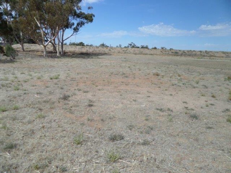 5 Fraser Street, Birchip VIC 3483