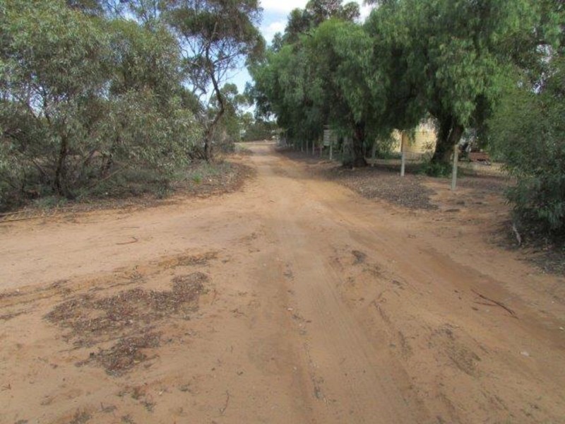 29 Brock Street, Woomelang VIC 3485