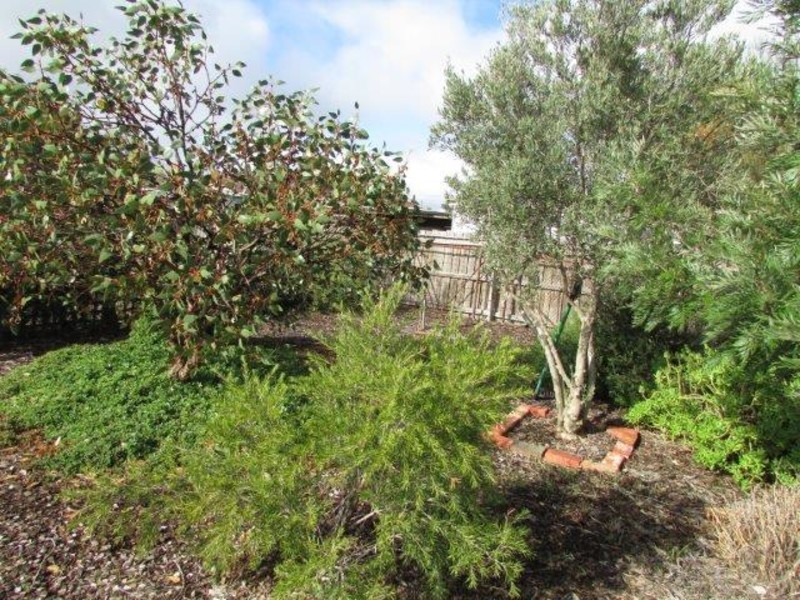 89 Anderson Street, Warracknabeal VIC 3393