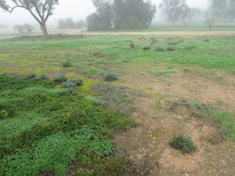 1 Murray Street, Rainbow VIC 3424