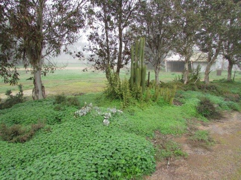 1 Murray Street, Rainbow VIC 3424