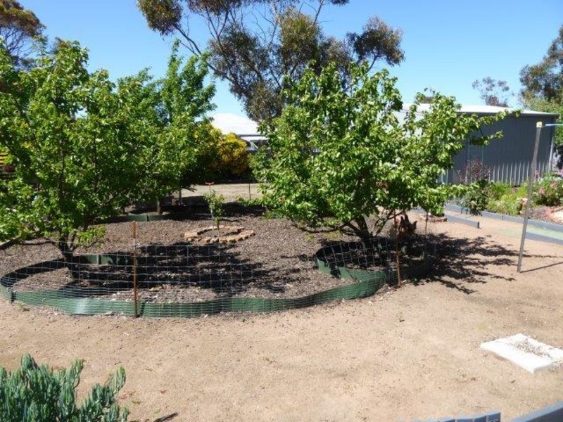 39 Church Street, Minyip VIC 3392