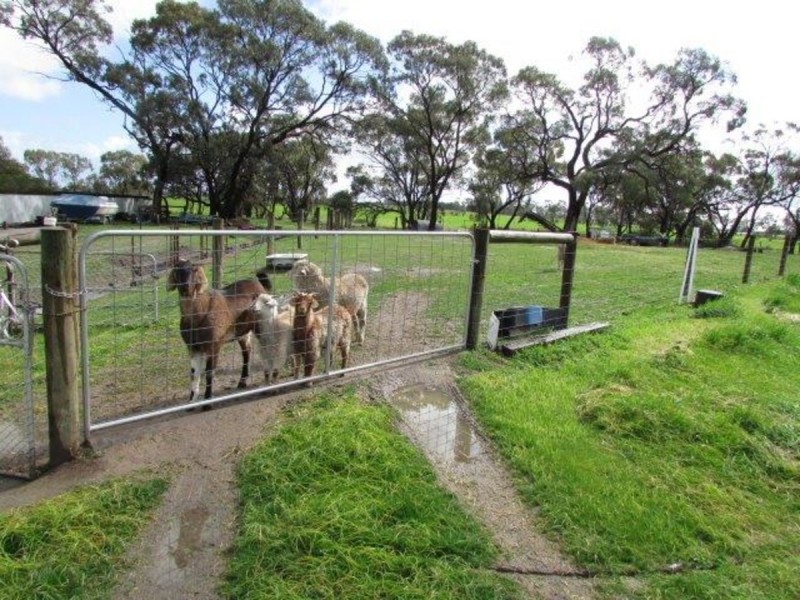 77 Lower Roy Street, Jeparit VIC 3423