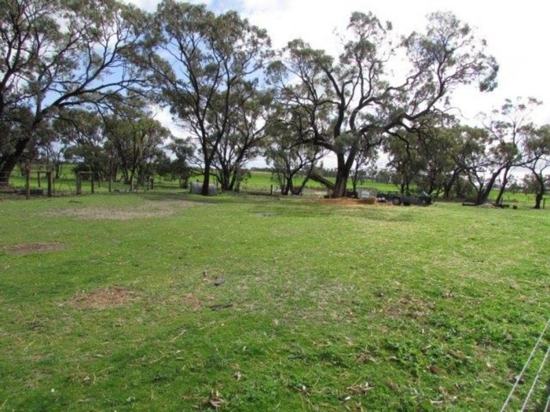 77 Lower Roy Street, Jeparit VIC 3423