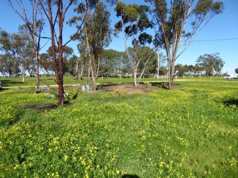 76 Paine Street, Brim VIC 3391