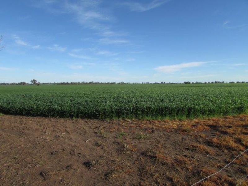 Warracknabeal VIC 3393