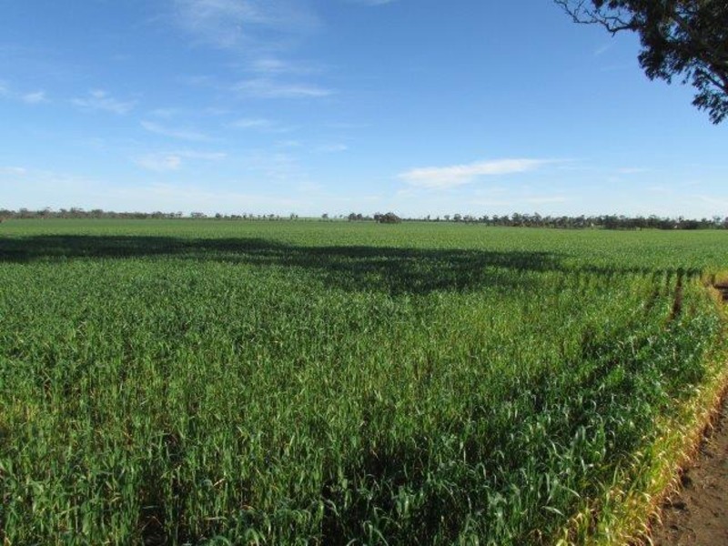 Warracknabeal VIC 3393