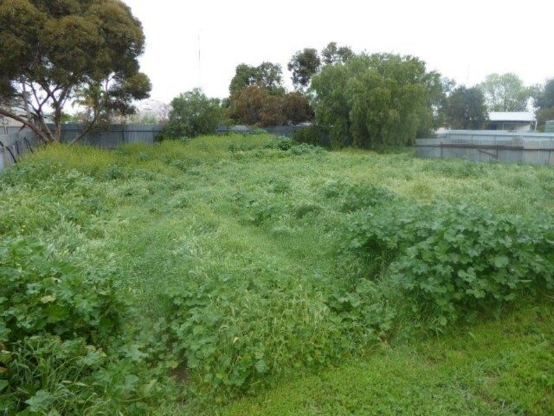 17 Lockwood Street, Birchip VIC 3483