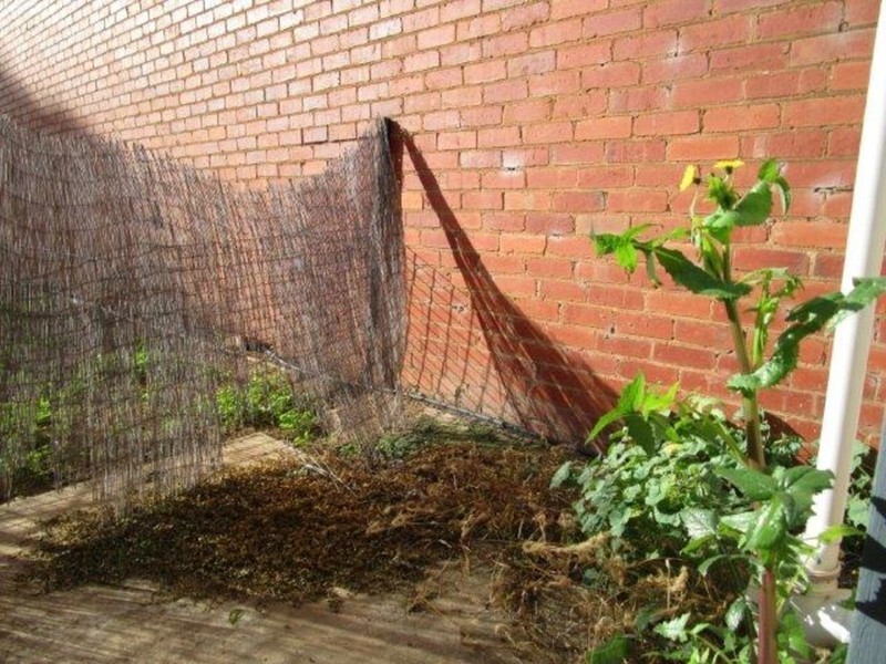 71 Woods Street, Donald VIC 3480