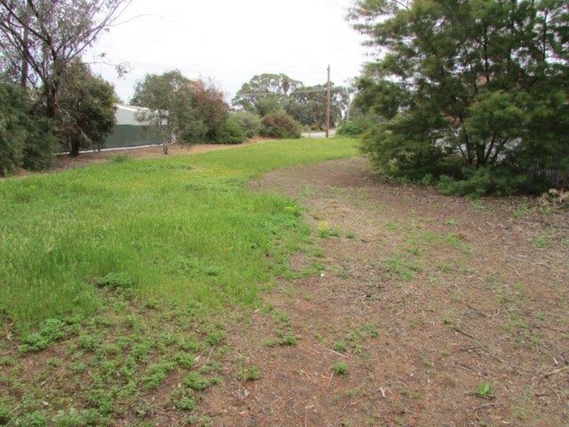 141 Anderson Street, Warracknabeal VIC 3393