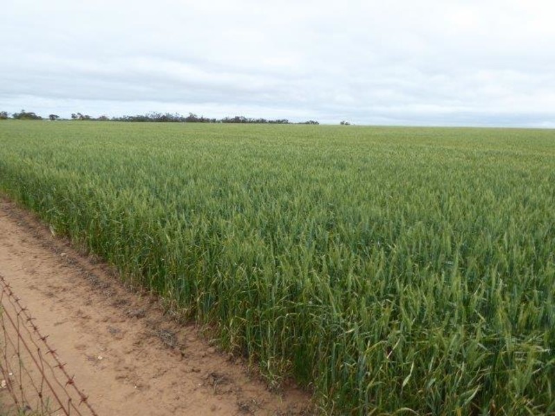 Rosebery East Road, Rosebery VIC 3395