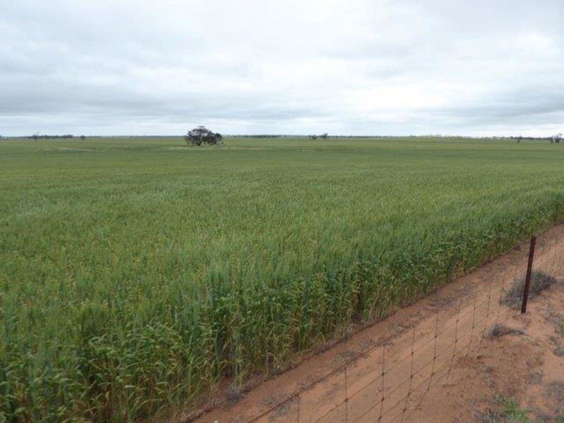 Rosebery East Road, Rosebery VIC 3395