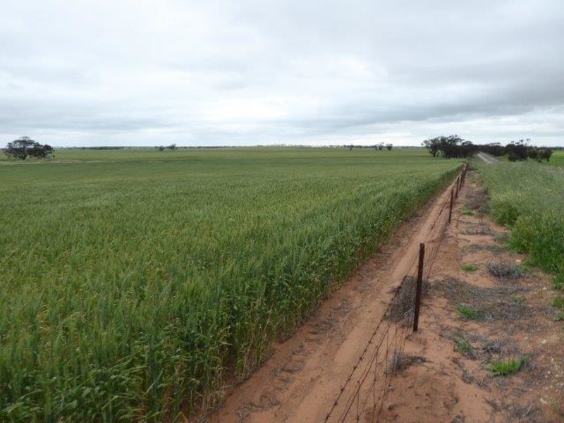 Rosebery East Road, Rosebery VIC 3395