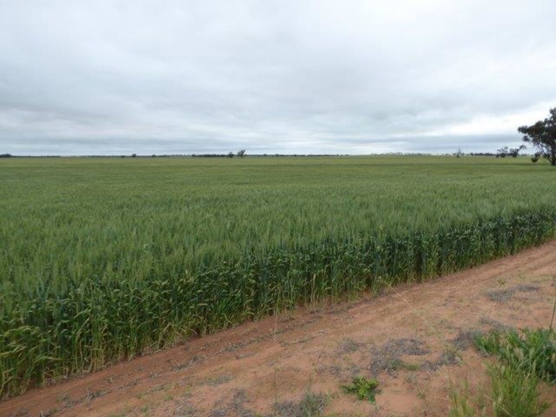 Rosebery East Road, Rosebery VIC 3395