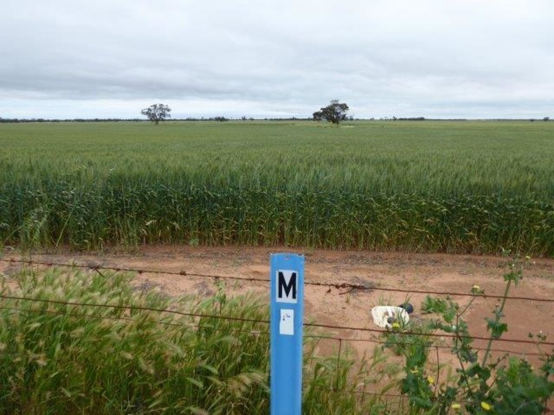 Rosebery East Road, Rosebery VIC 3395