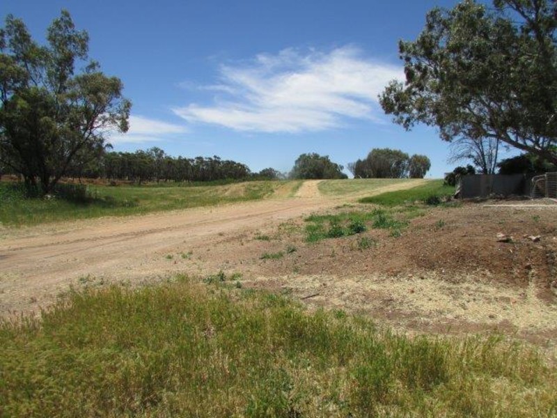 25 Hammill Street, Donald VIC 3480