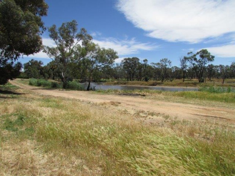 25 Hammill Street, Donald VIC 3480