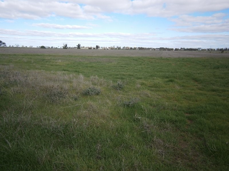 2113 Sunraysia Highway, Watchem VIC 3482