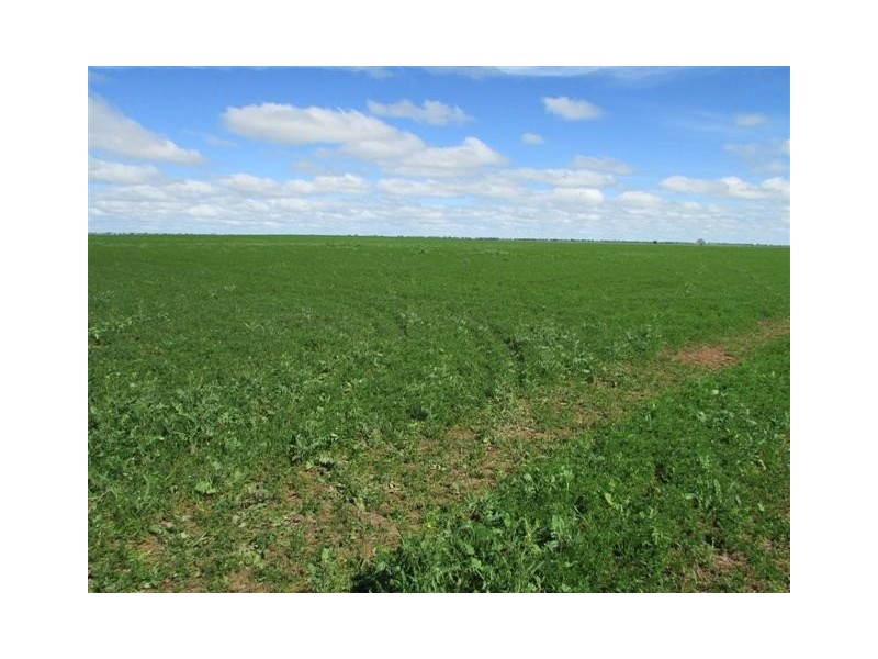 923 Brikkle Road, Brim VIC 3391