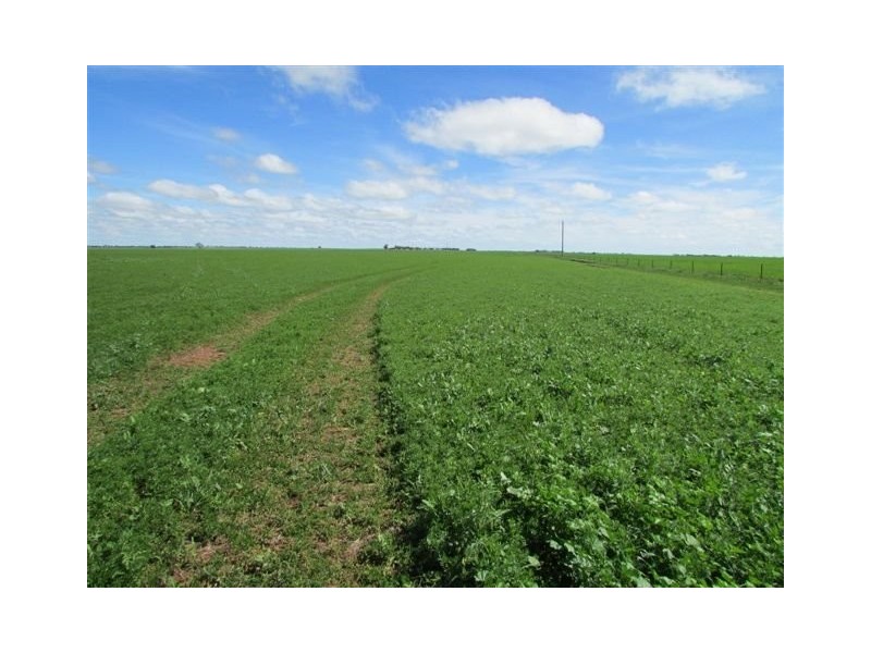 923 Brikkle Road, Brim VIC 3391