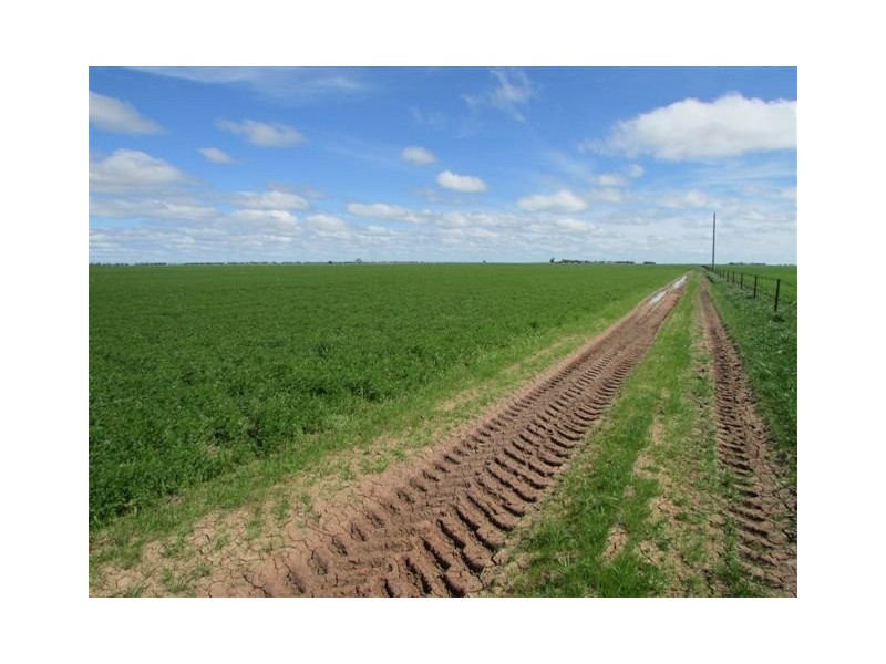 923 Brikkle Road, Brim VIC 3391