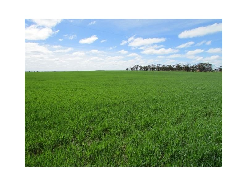 923 Brikkle Road, Brim VIC 3391