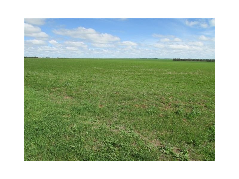 923 Brikkle Road, Brim VIC 3391