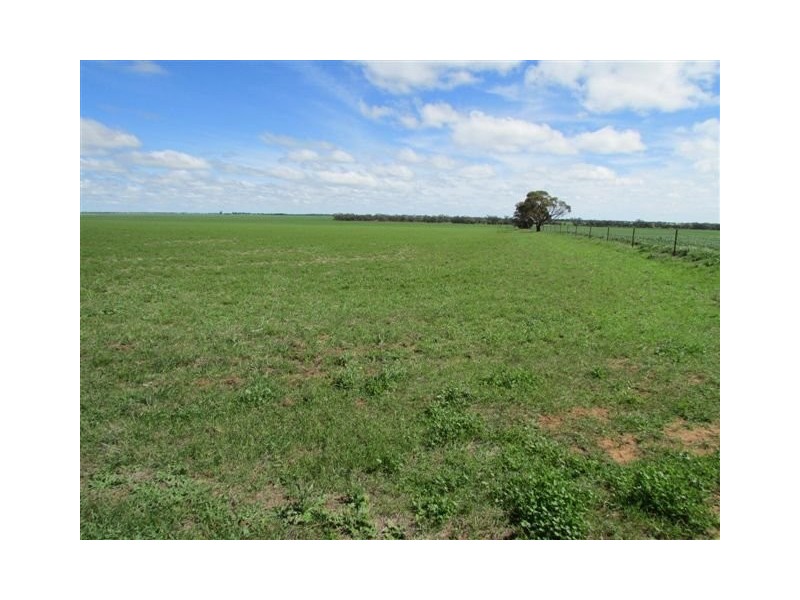 923 Brikkle Road, Brim VIC 3391