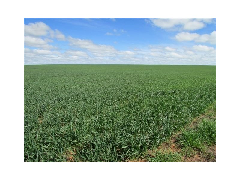 923 Brikkle Road, Brim VIC 3391