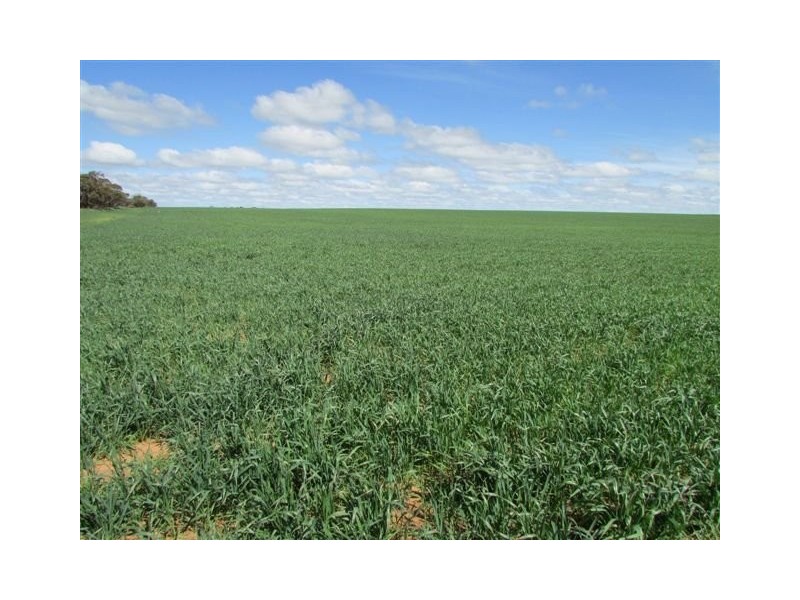 923 Brikkle Road, Brim VIC 3391