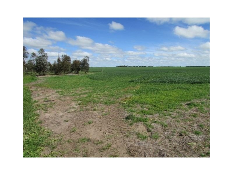 923 Brikkle Road, Brim VIC 3391