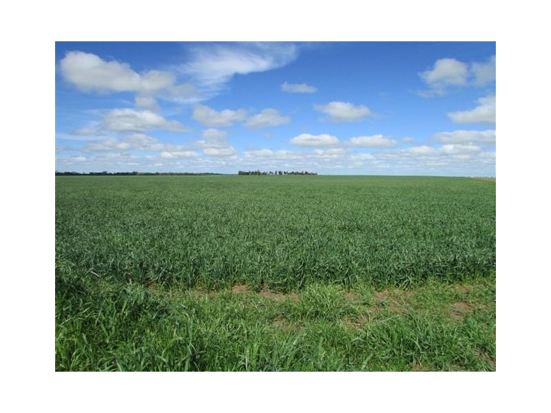 923 Brikkle Road, Brim VIC 3391