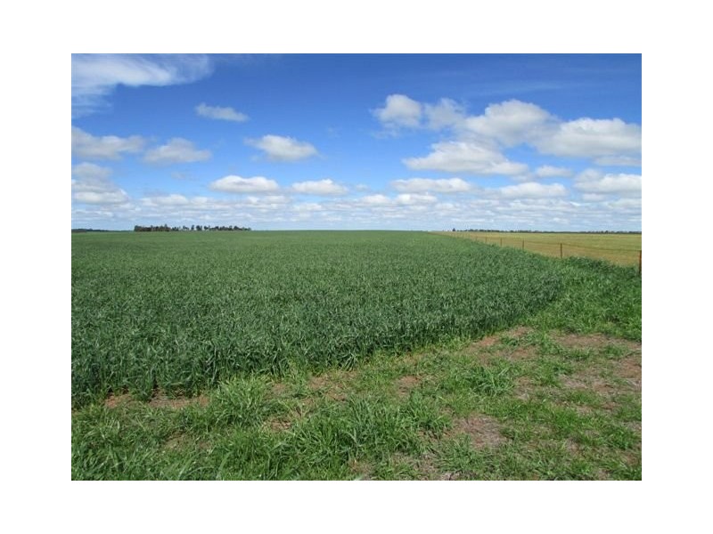 923 Brikkle Road, Brim VIC 3391