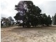 Lot 10 Horseshoe Bend Road, Dimboola VIC 3414