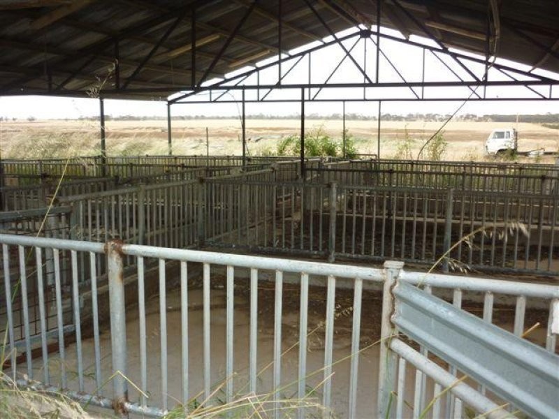 3341 Borung Highway, Donald VIC 3480