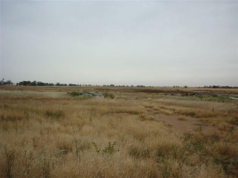 3341 Borung Highway, Donald VIC 3480