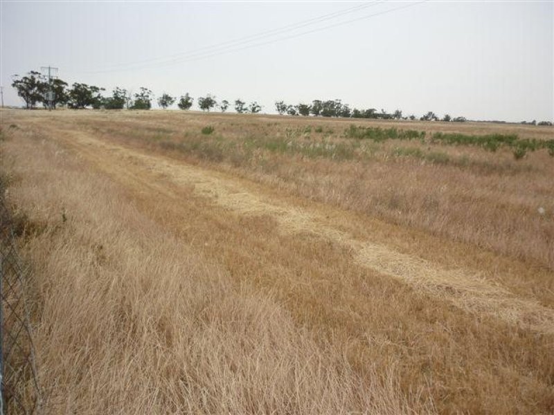 3341 Borung Highway, Donald VIC 3480