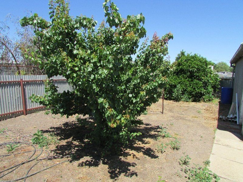 55 Woolcock Street, Warracknabeal VIC 3393