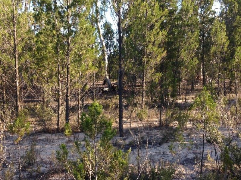 C/A 26 Stringbark Road, Dimboola VIC 3414