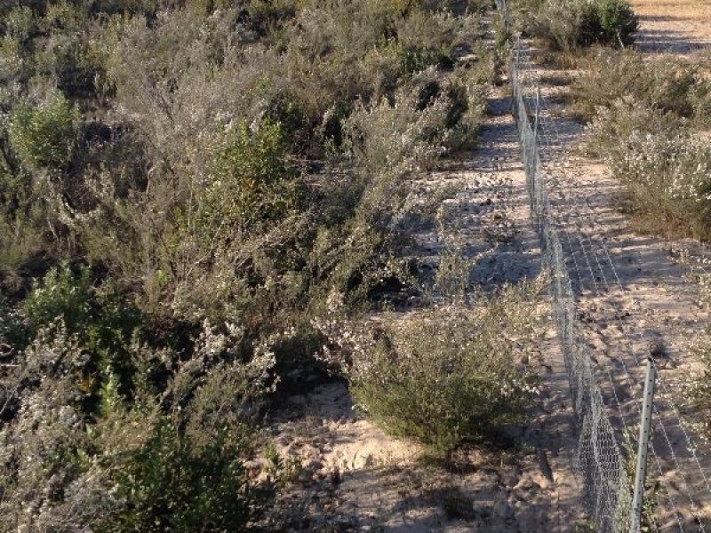 C/A 26 Stringbark Road, Dimboola VIC 3414