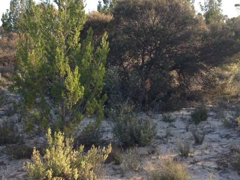 C/A 26 Stringbark Road, Dimboola VIC 3414